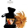 Kit Shunga "Dulces besos" - Imagen 7