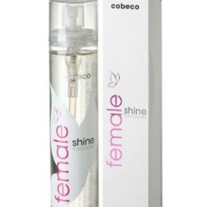 Limpiador de juguetes Cobeco Female Shine 120Ml.