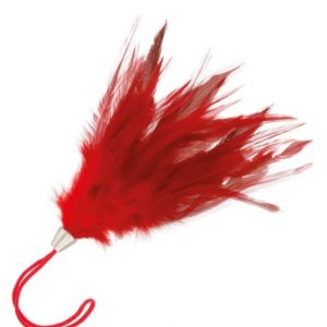 Pluma Estimuladora Roja Darkness 17Cm